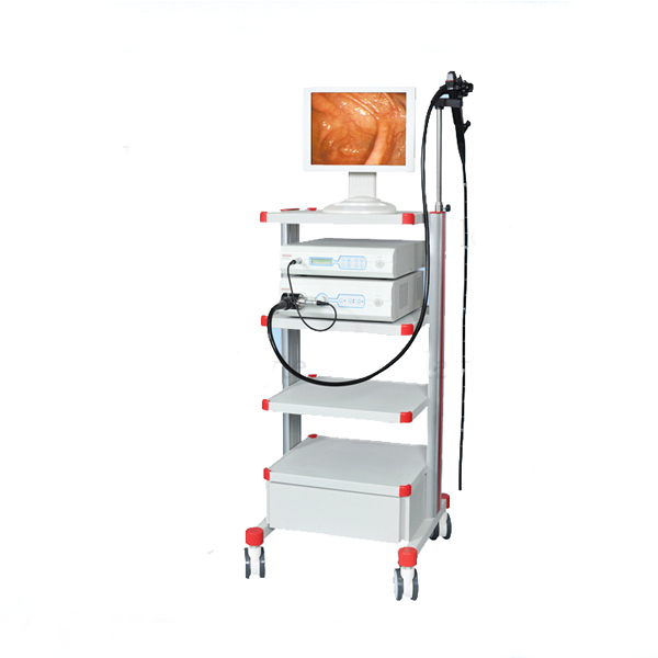 Endoscope System