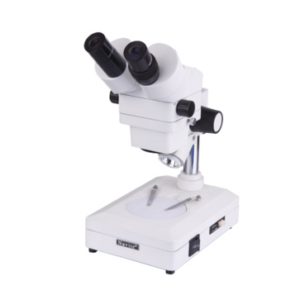 Stereo Microscope